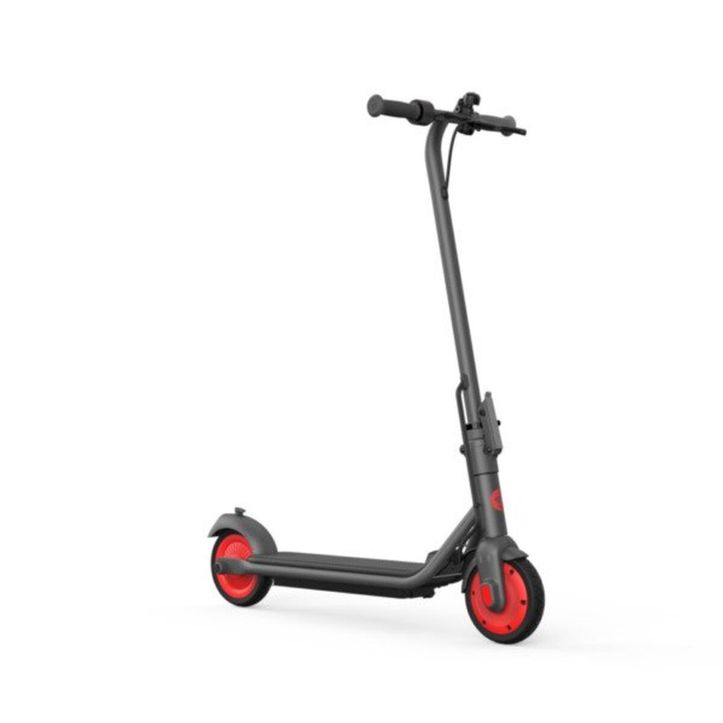اسکوتر برقی سگوی مدل  Ninebot eKickScooter ZING C20