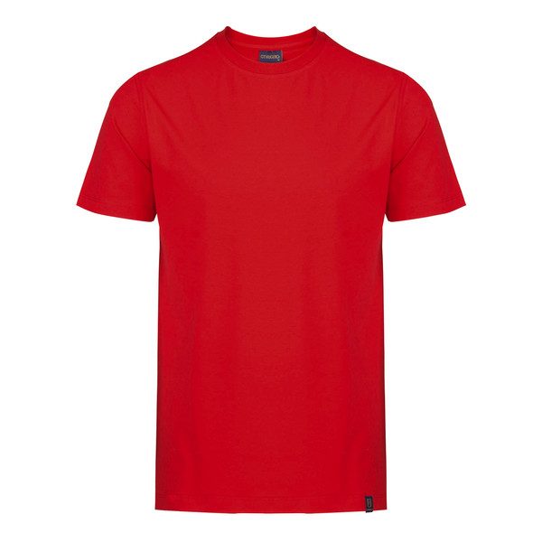 تی شرت آستین کوتاه مردانه جی تی هوگرو مدل 1035125
