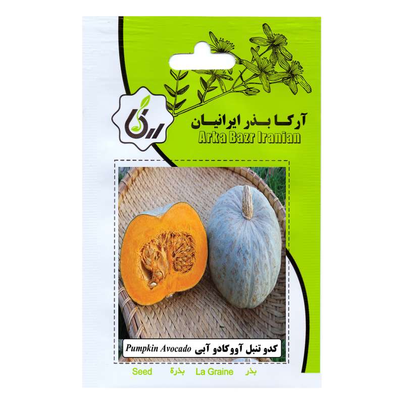 بذر کدو تنبل آووکادو آبی آرکا بذر ایرانیان کد 192-ARK