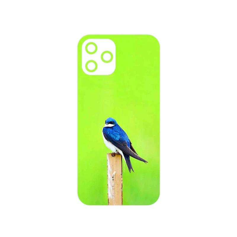 برچسب پوششی ماهوت مدل Bird Swallow مناسب برای گوشی موبایل اپل iPhone 12 Pro