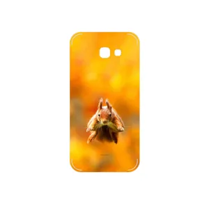 MAHOOT Squirrel Cover Sticker for Samsung Galaxy A5 2017