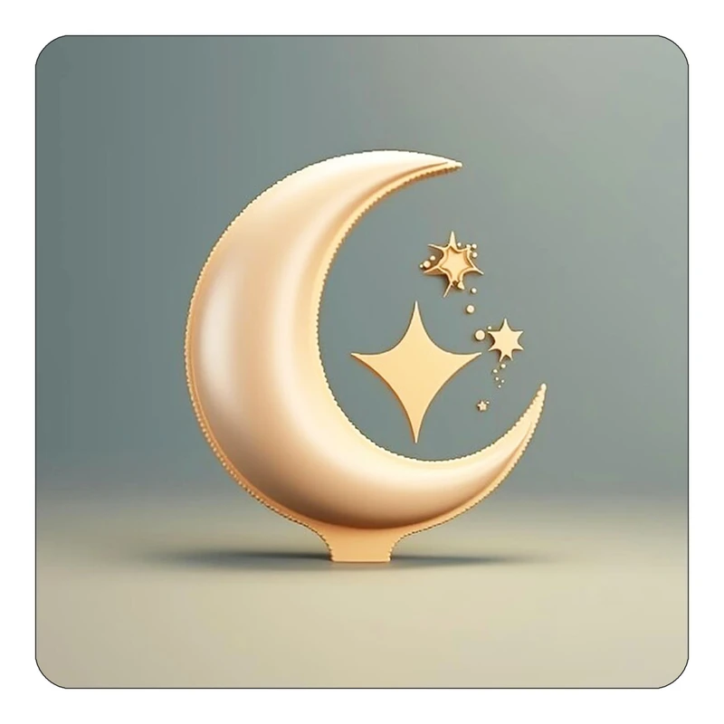 مگنت کاکتی طرح ماه و ستاره مدل mp53023