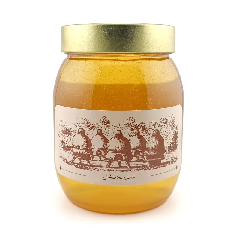 عسل طبیعی جنگل دشبون - 750 گرم