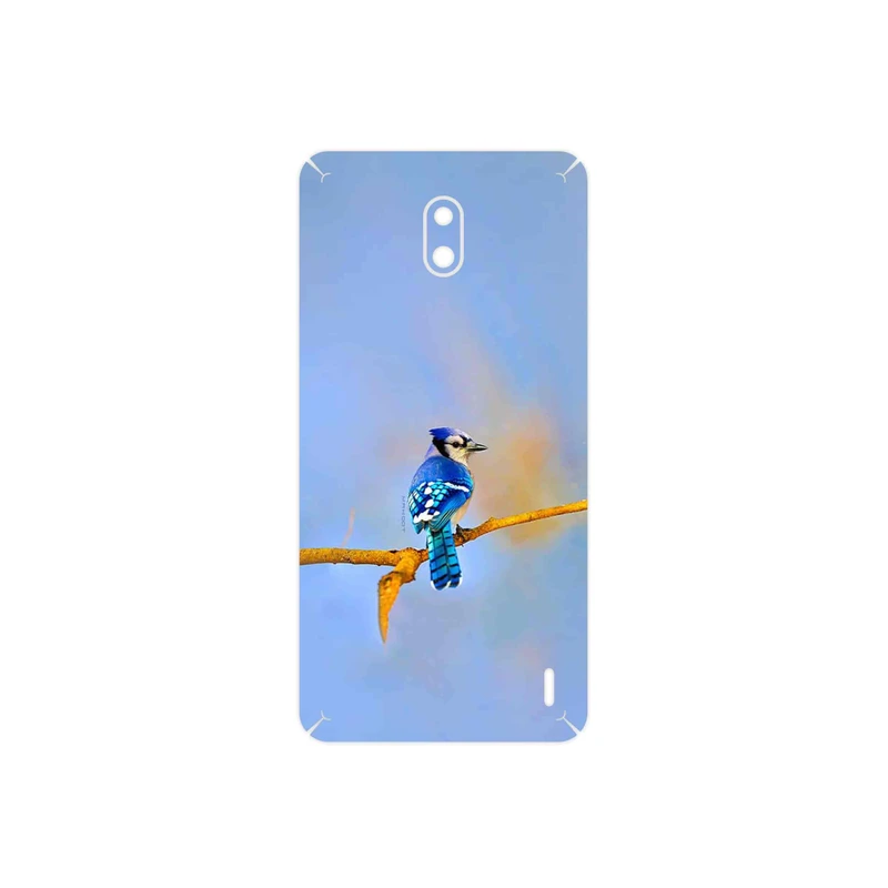 برچسب پوششی ماهوت مدل Cyanocitta cristata مناسب برای گوشی موبایل نوکیا 2