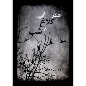 کتاب شکار کلاغ در شب اثر مجتبی ادیبان انتشارات ارسطو
