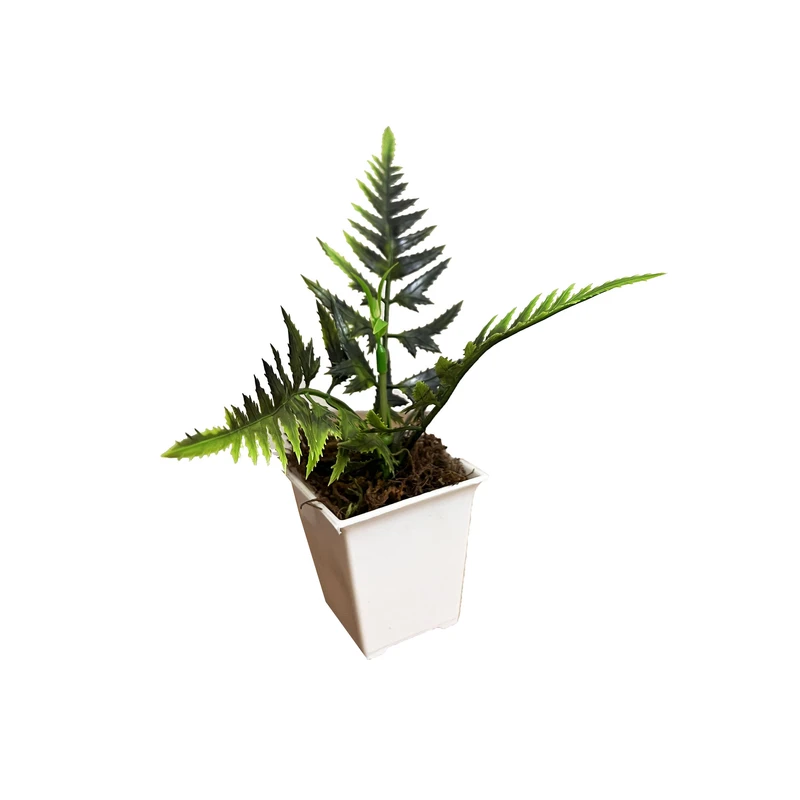 گلدان به همراه گل مصنوعی مدل برگ کاجی مربعی میناتوری