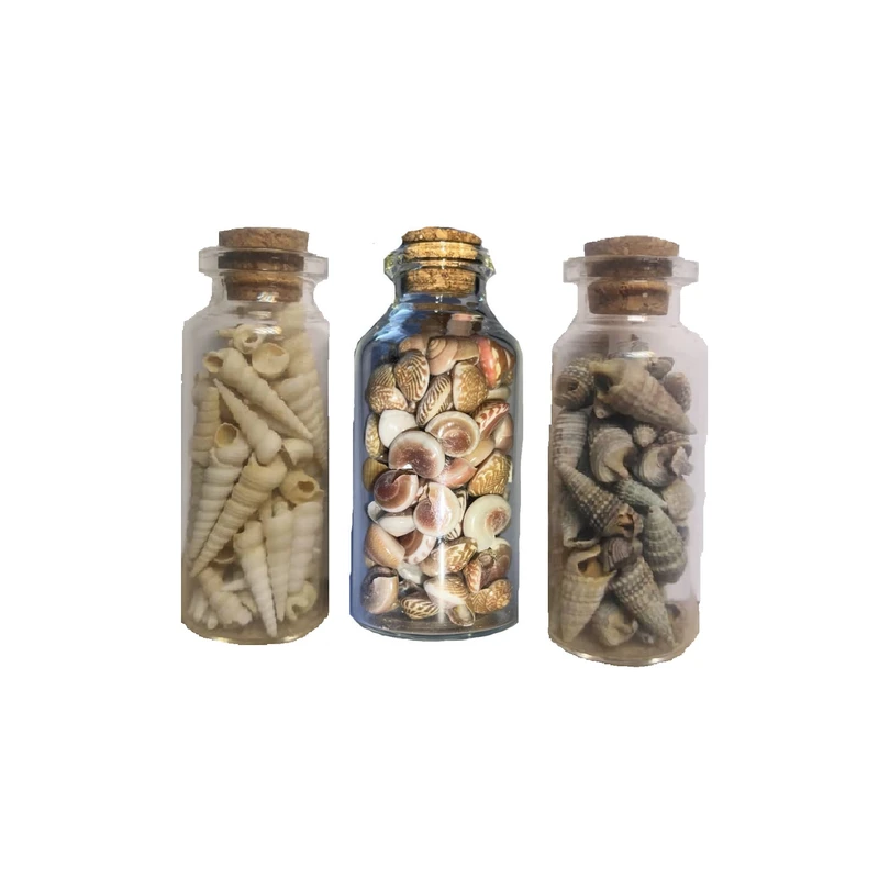 بطری دکوری مدل shell 01 مجموعه 3 عددی