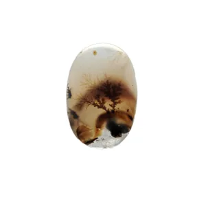 سنگ زینتی شجر قائن مدل طبیعی کد 904