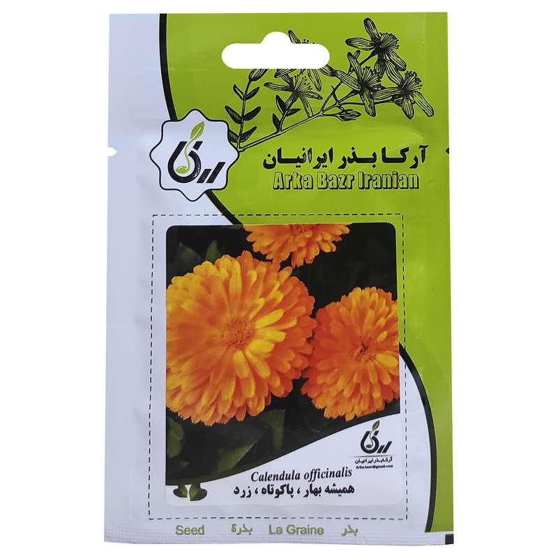 بذر گل همیشه بهار پاکوتاه زرد آرکا بذر ایرانیان کد ARK-098