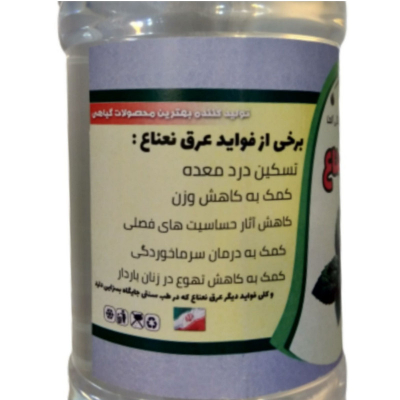 عرق نعنا خانگی آلما - 1 لیتر