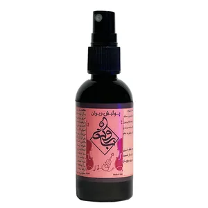 پولیش تمیزکننده ویولن باروک مدل