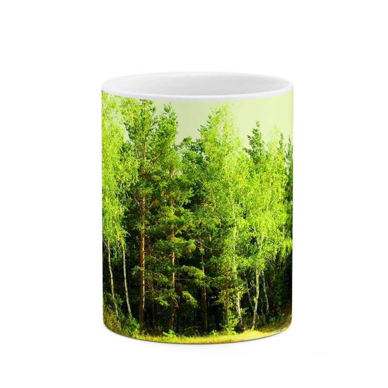 ماگ کاکتی مدل جنگل کد mgh12275