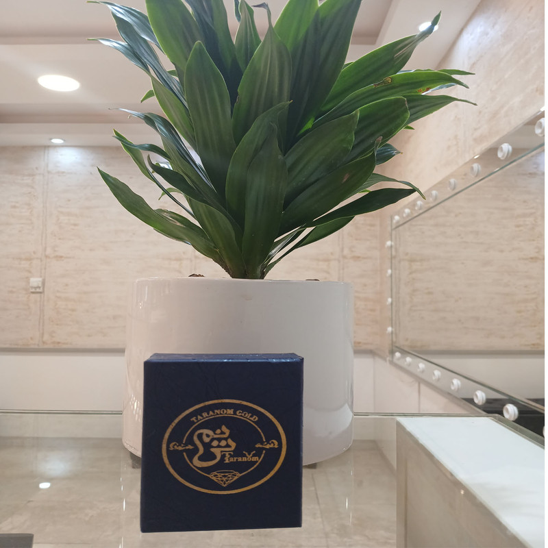 نیم‌سکه طلا بهار آزادی طرح جدید  سال ضرب 1386 - طلای ترنم