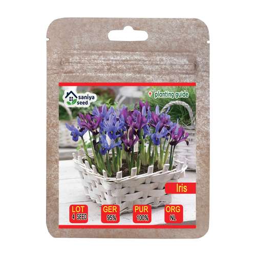 بذر گل زنبق زینتی سانیا سید مدل S112