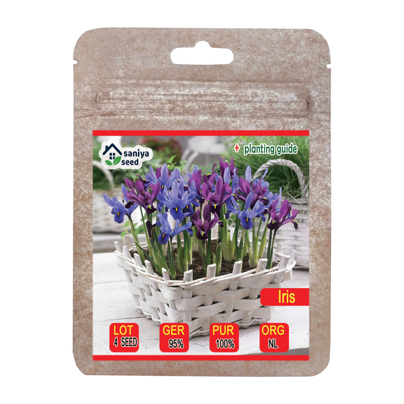 بذر گل زنبق زینتی سانیا سید مدل S112