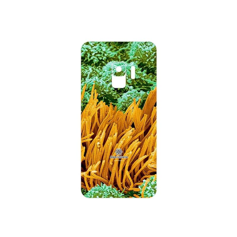 برچسب پوششی ماهوت مدل Atom Universe 6 مناسب برای گوشی موبایل سامسونگ Galaxy S9