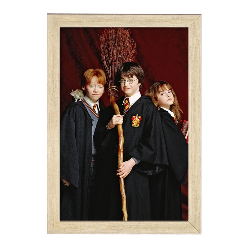 تابلو خندالو مدل رون و هرمیون و هری پاتر Harry Potter  کد 2914