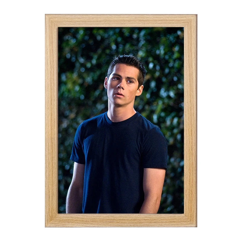تابلو خندالو مدل استایلز استلینسکی سریال تین ولف Teen Wolf کد 28446