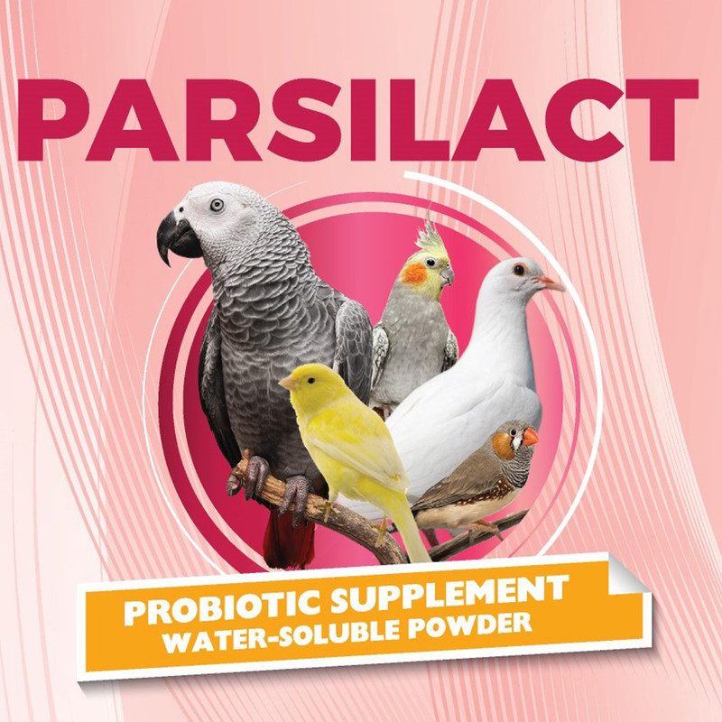  مکمل پرندگان خانگی پارسی لاکت مدل Bird-BC وزن 120 گرم