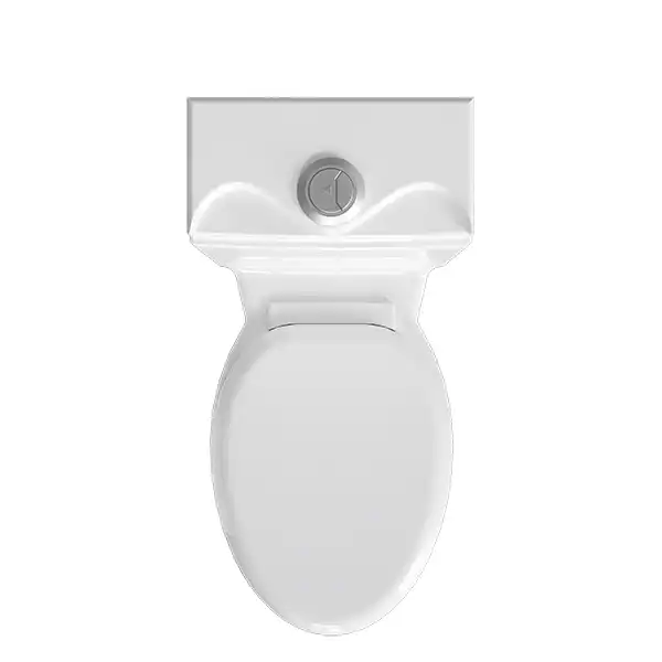 توالت فرنگی چینی کرد مدل لوییزا