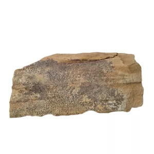 سنگ راف شجر مدل فسیلی کد 190