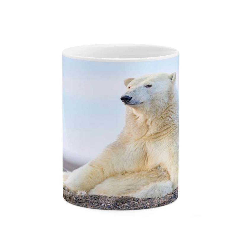 ماگ کاکتی مدل خرس کد mgh16290