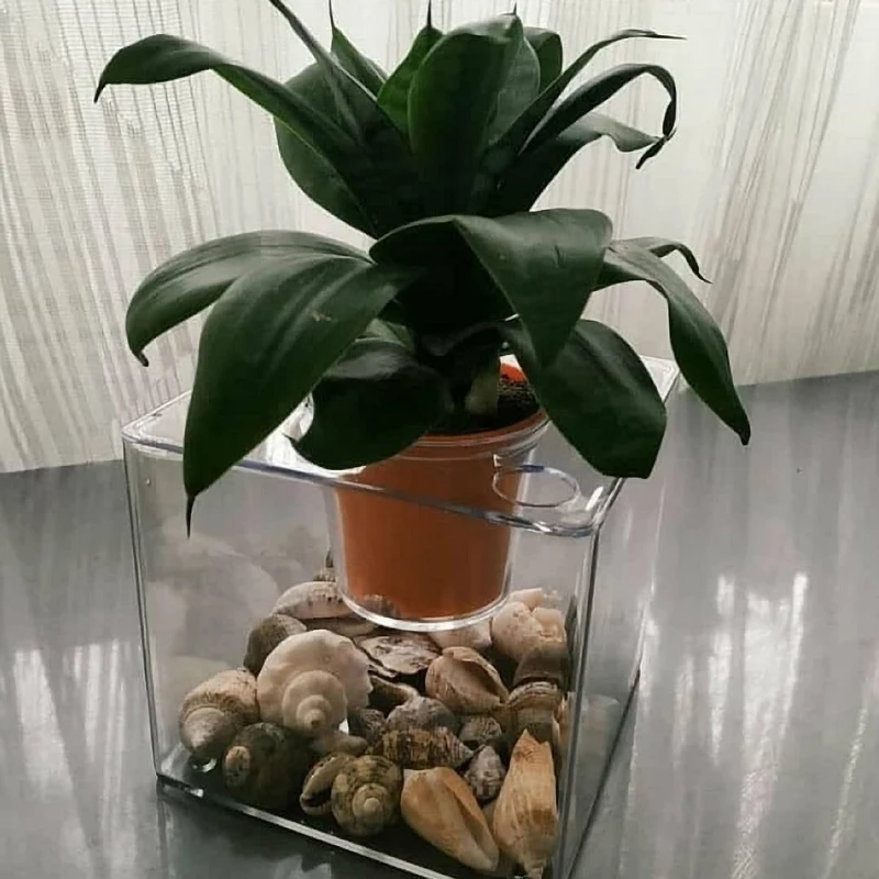 عکس شماره 8 : آکواریوم فیلی پلاست مدل گلدان دار