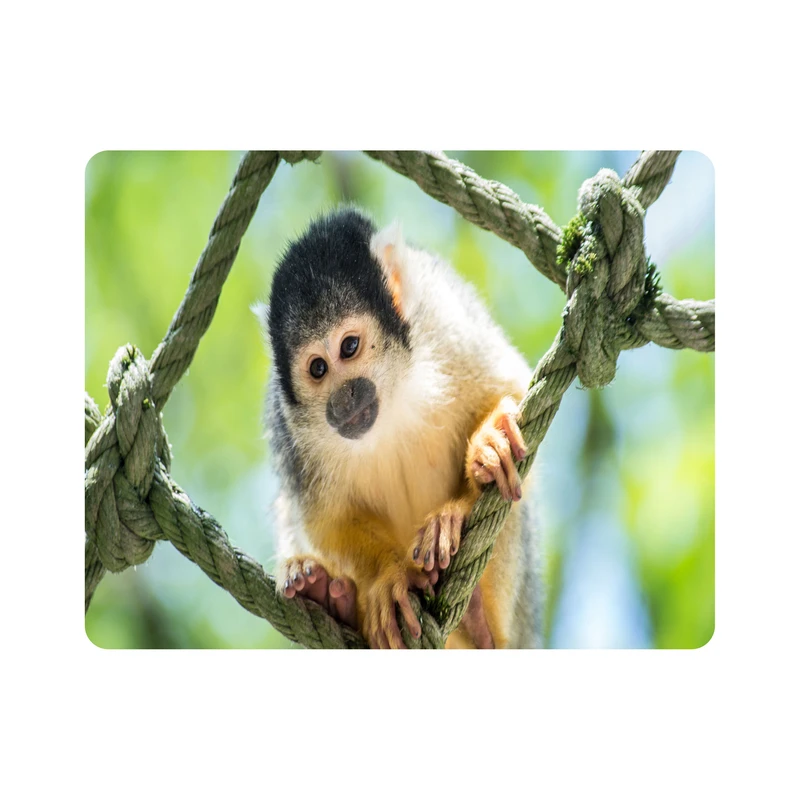 ماوس پد اطلس آبی طرح میمون و طناب مدل T7822