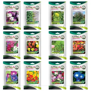 بذر گل های باغچه ای و گلدانی رونده با رویش آسان گلبرگ پامچال کد G-P-GP-012 مجموعه 12 عددی