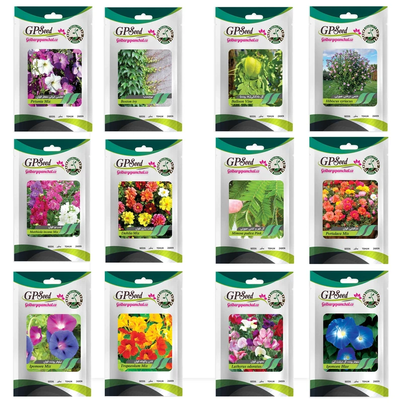 بذر گل های باغچه ای و گلدانی رونده با رویش آسان گلبرگ پامچال کد G-P-GP-012 مجموعه 12 عددی بذر گل های باغچه ای و گلدانی رونده با رویش آسان گلبرگ پامچال کد G-P-GP-012 مجموعه 12 عددی