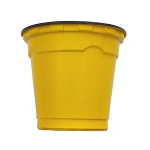 گلدان مدل ژله ای کد vnfrpot-6 مجموعه 12 عددی