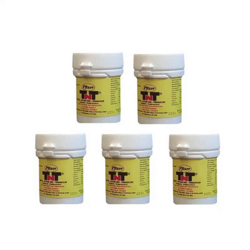 مکمل پرندگان پی فایزر مدل TNT وزن 100 گرم مجموعه 5 عددی