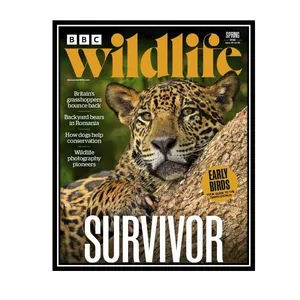 مجله BBC Wild Life  آوریل 2022