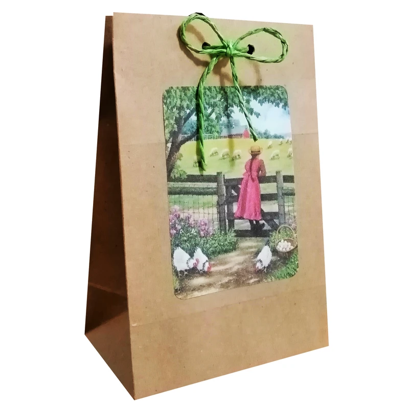 پاکت هدیه مدل نوروز و سال نو مجموعه 10 عددی