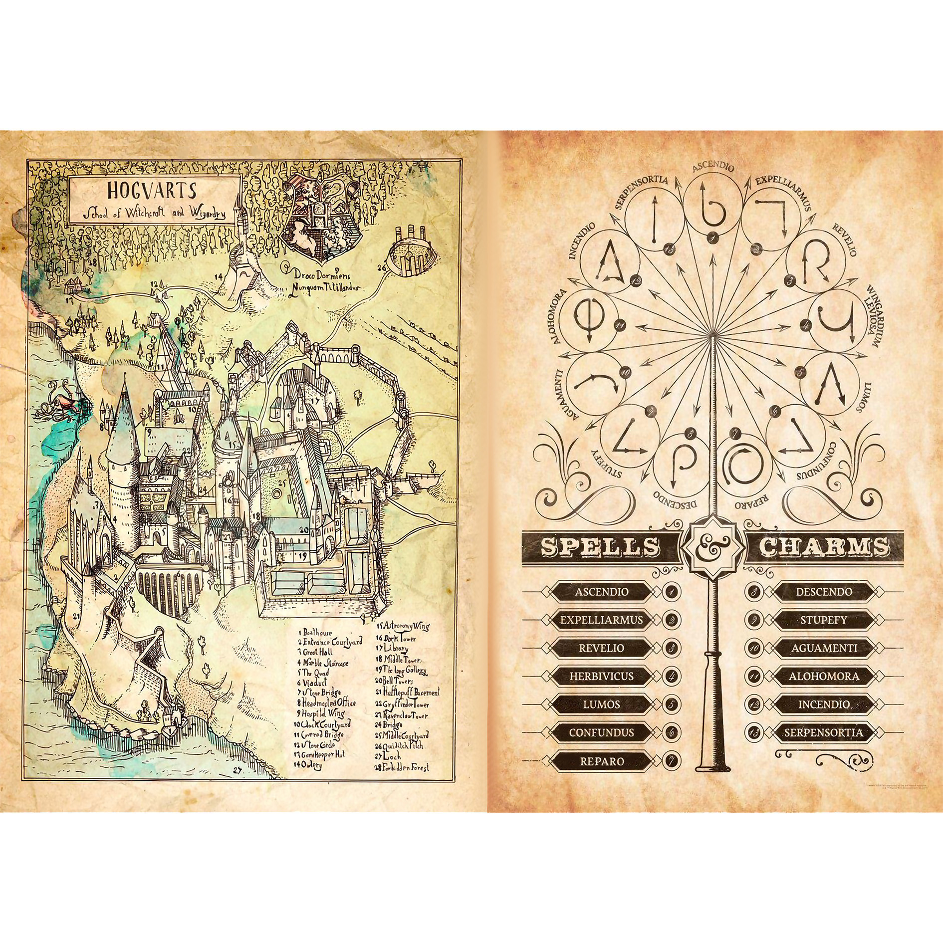 اسباب بازی زینتی مدل چوب دستی هری پاتر طرح الدر به همراه بلیط قطار و نقشه مدرسه