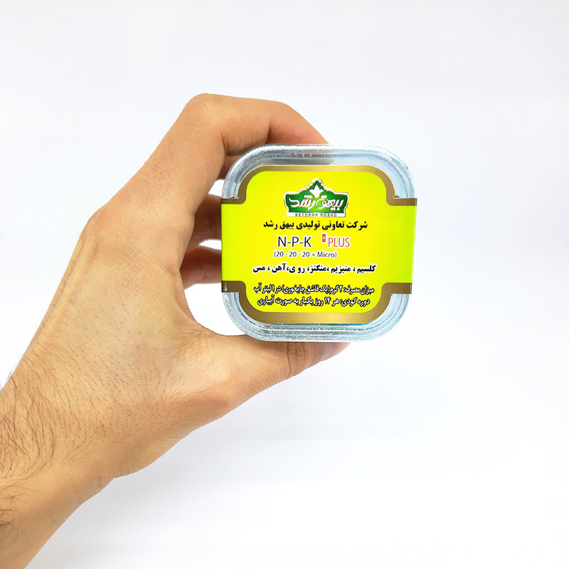 کود گل های آپارتمانی بیهق رشد مدل N-P-K وزن 50 گرم