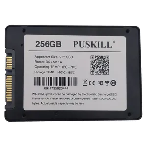 اس اس دی اینترنال پاسکیل مدل PUS-640 ظرفیت 256 گیگابایت