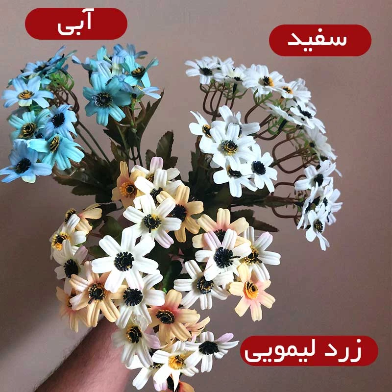 عکس شماره 2