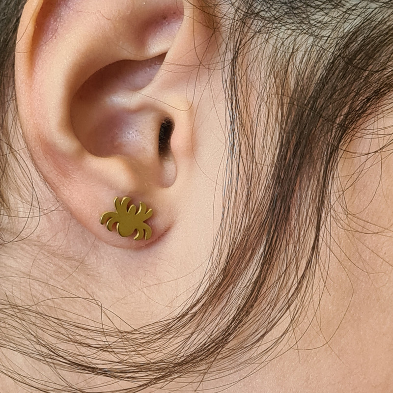 گوشواره دخترانه مدل عنکبوت