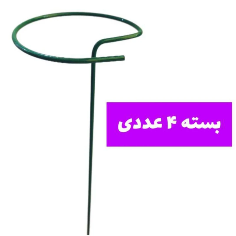 عکس شماره 4