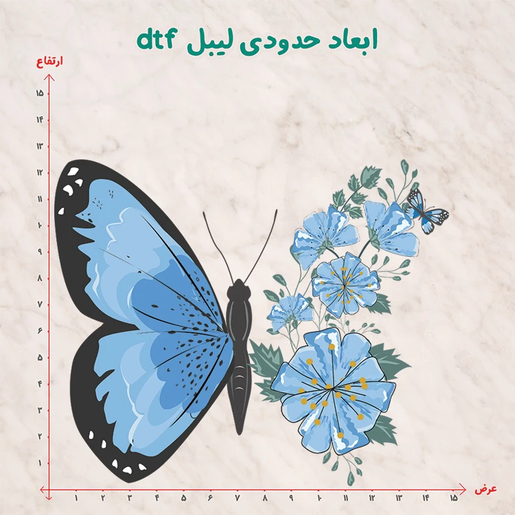 عکس شماره 4