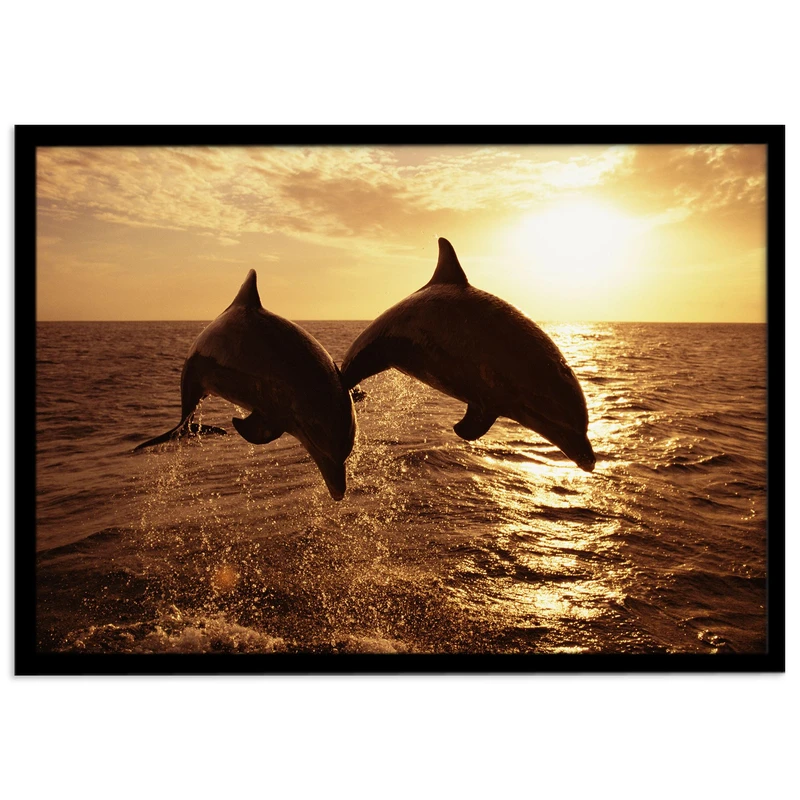 تابلو نوری بکلیت طرح غروب دریا و دلفین مدل لایت باکس B-s1633