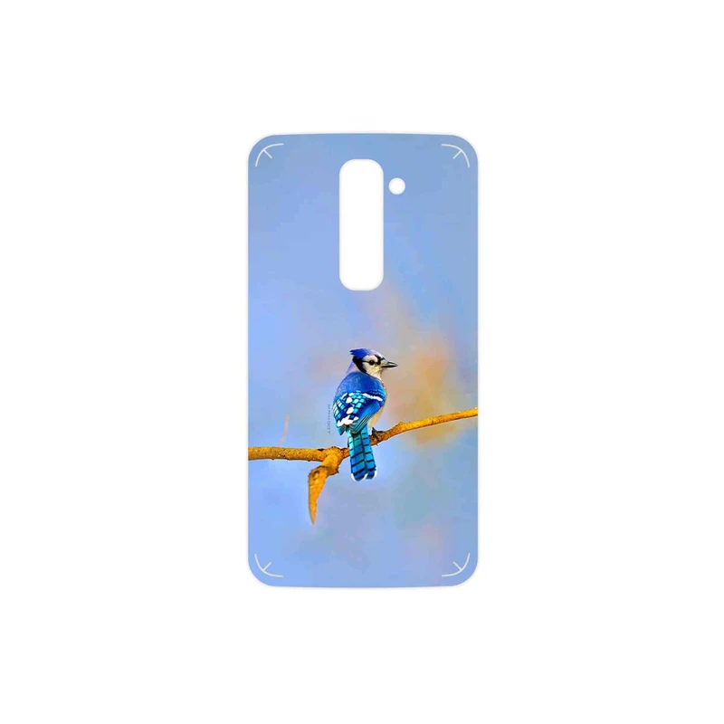 برچسب پوششی ماهوت مدل Cyanocitta cristata مناسب برای گوشی موبایل ال جی G2