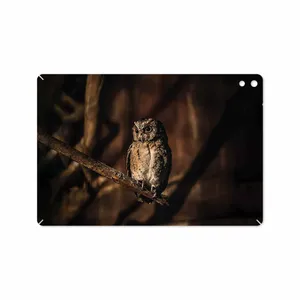MAHOOT Owl Cover Sticker for HTC Nexus 9 2014