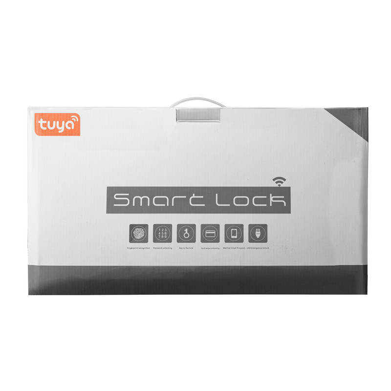 دستگیره هوشمند تویا مدل Tuya Door Lock face recognition H06
