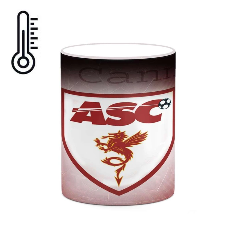 ماگ حرارتی کاکتی مدل تیم Cannes کد mgh19721