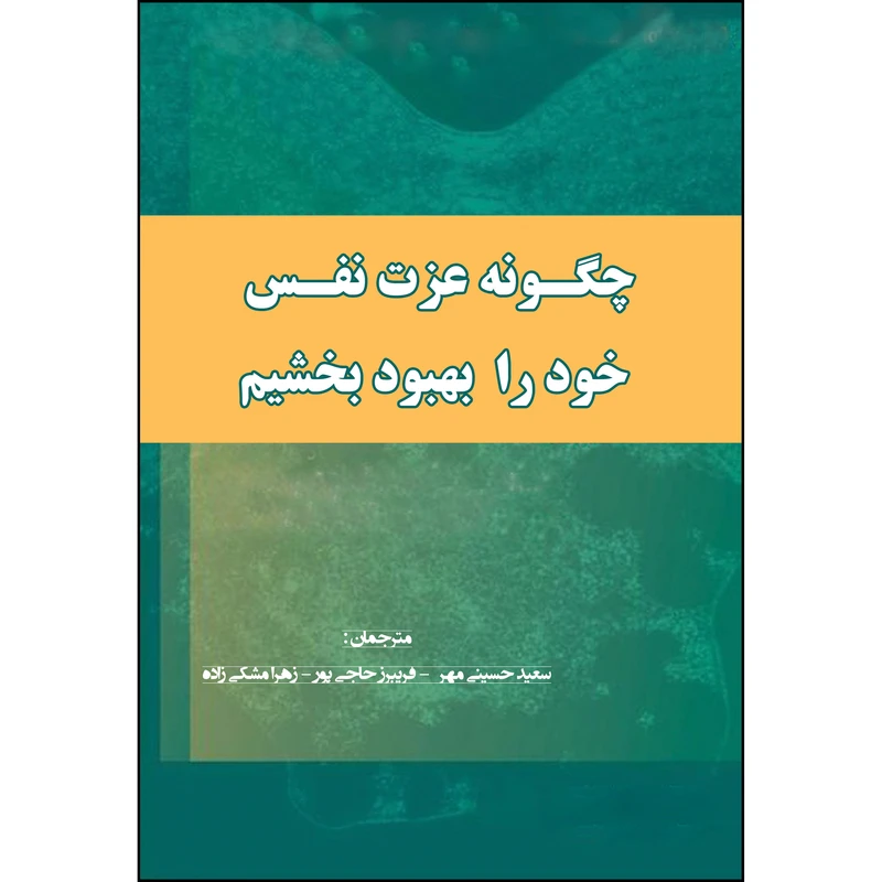 کتاب چگونه عزت نفس خود را بهبود بخشیم اثر ایلین شیهان انتشارات ارسطو