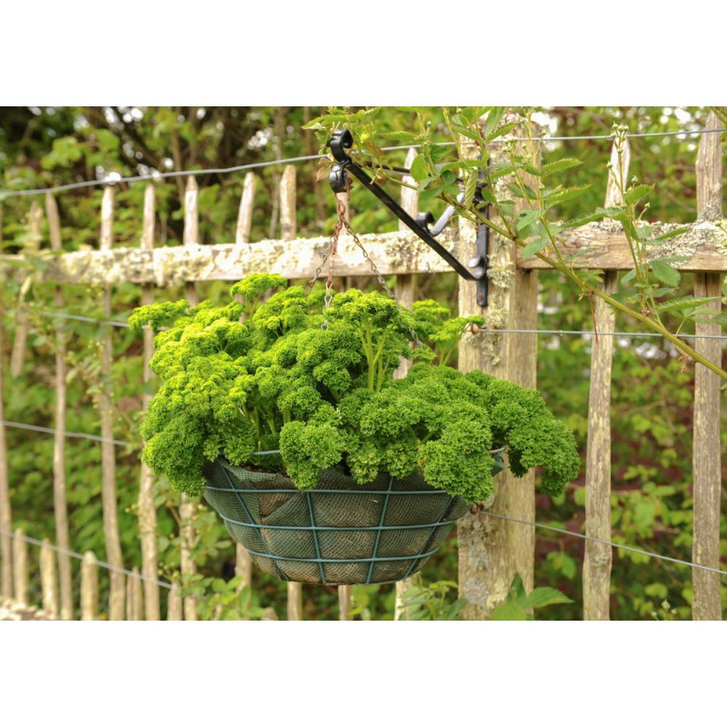 بذر جعفری فر وانیا سید مدل S24