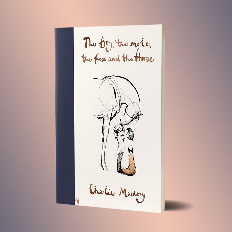 کتاب The Boy The Mole The Fox and The Horse اثر Charlie Mackesy انتشارات معیار علم کتاب The Boy The Mole The Fox and The Horse اثر Charlie Mackesy انتشارات معیار علم