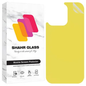 Shahr Glass TPBS30 Back Protector For Apple iPhone 16 Pro
